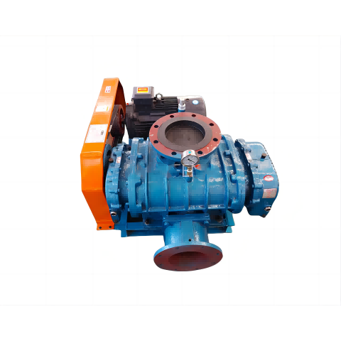 Mabaadi'da Shaqada ee Roots Vacuum Pump