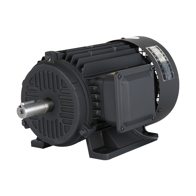 AC Electrical Asynchronous Motor for Machine Goynta