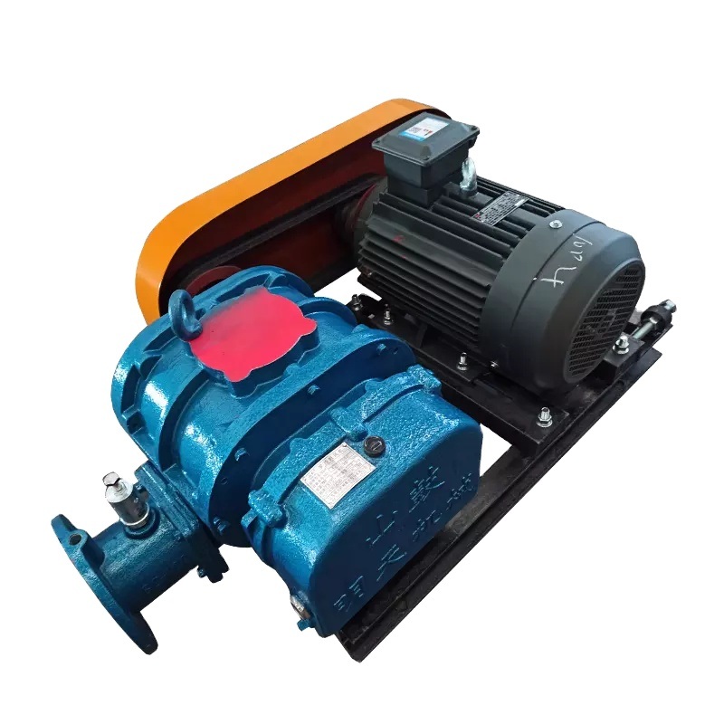 Xididdada Blower Vacuum Pump